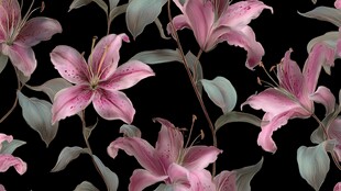 粉色百合花黑色背景图案