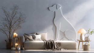 现代简约风的宠物主题客厅