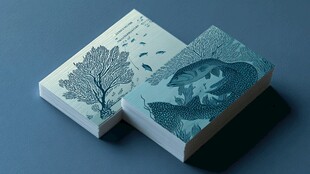 海洋主题创意便签纸展示