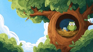 树洞里的猫头鹰母子