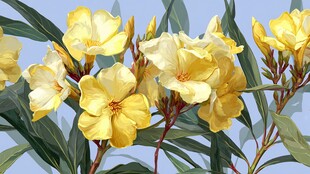 黄色夹竹桃绽放的美丽瞬间