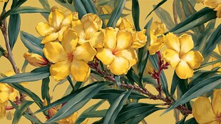 金黄夹竹桃绽放美丽姿态