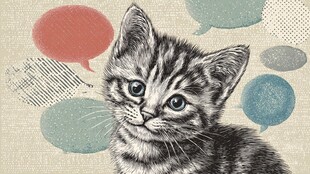 可爱小猫与多彩对话气泡