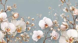 白色兰花与棉枝花卉美景