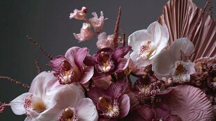 梦幻粉紫系兰花花卉组合