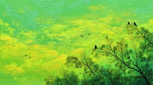 绿空下的飞鸟与繁茂树枝