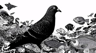 鸽子与群鱼的奇幻共生