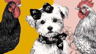 小狗与双鸡的可爱插画