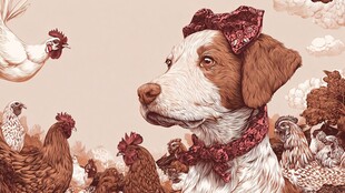 戴饰小狗与群鸡的温馨画面