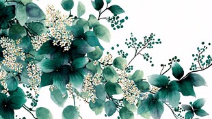 水墨风绿植花卉装饰图