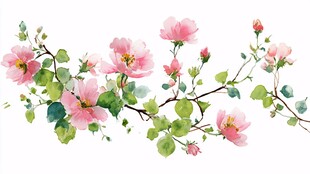 粉色花卉枝条水彩插画