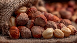 麻袋装的美味榛子散落