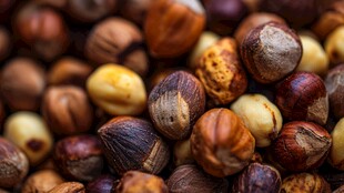 榛子特写 多样色泽的美味坚果