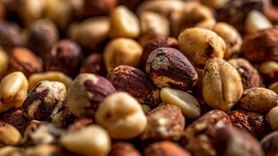 多样美味坚果大集合