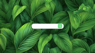 绿叶背景中的搜索框元素