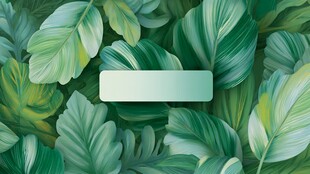 绿叶背景中的空白标签区域