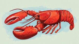 红色大龙虾插画