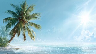 阳光椰树映碧海美景