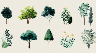 手绘绿植树木花卉集合图