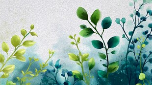 清新水彩风绿植花卉画面