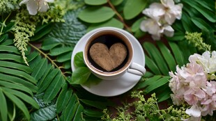 爱心咖啡置身绿植花卉间