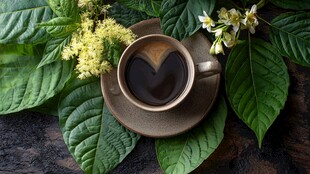 绿叶环绕的爱心咖啡杯