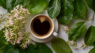 心形咖啡与绿植花卉相伴