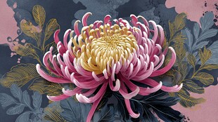 艳丽菊花绽放 古风花卉图