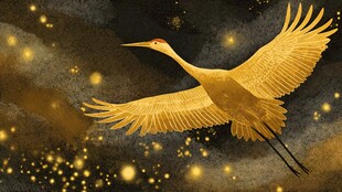 金色仙鹤于夜空中展翅