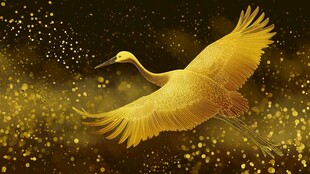 金鹤展翅 闪耀梦幻空间