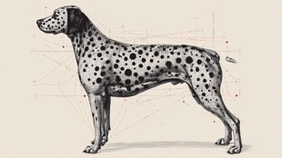 斑点狗的艺术解构绘画