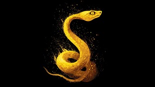 金色火焰蛇 炫酷视觉效果