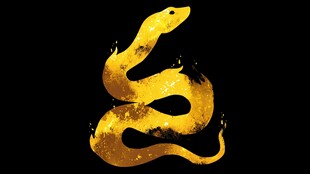 金色泼墨蛇形象设计