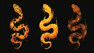 三幅炫彩蛇形艺术图案