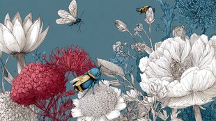 繁花间的蜂蝶之舞