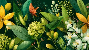 春日繁花蝴蝶绿意插画