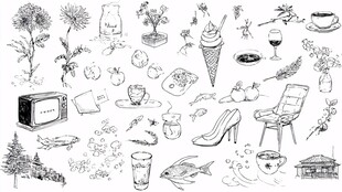 手绘日常物品集合