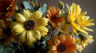 鲜艳多彩的菊花花束