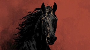 黑骏马于红幕下的英姿