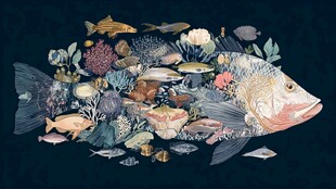 梦幻海洋鱼群花卉共生图