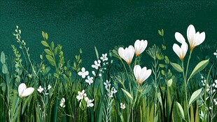 春日绿野花卉清新插画