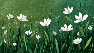 春日草地白花清新插画