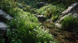 山间溪边繁茂绿植景观