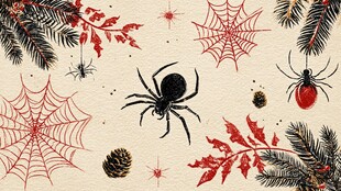 万圣节蜘蛛主题装饰元素