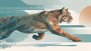 奔跑的山猫 活力无限