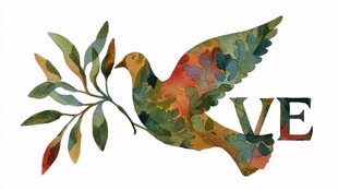 水彩绘和平鸽衔枝表爱意