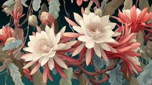 梦幻昙花绽放 绚丽花卉绘