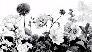 黑白花卉插画艺术之美
