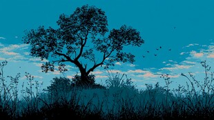 黄昏下的孤树与飞鸟