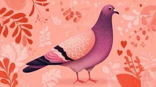 紫鸽栖于繁花嫩叶间